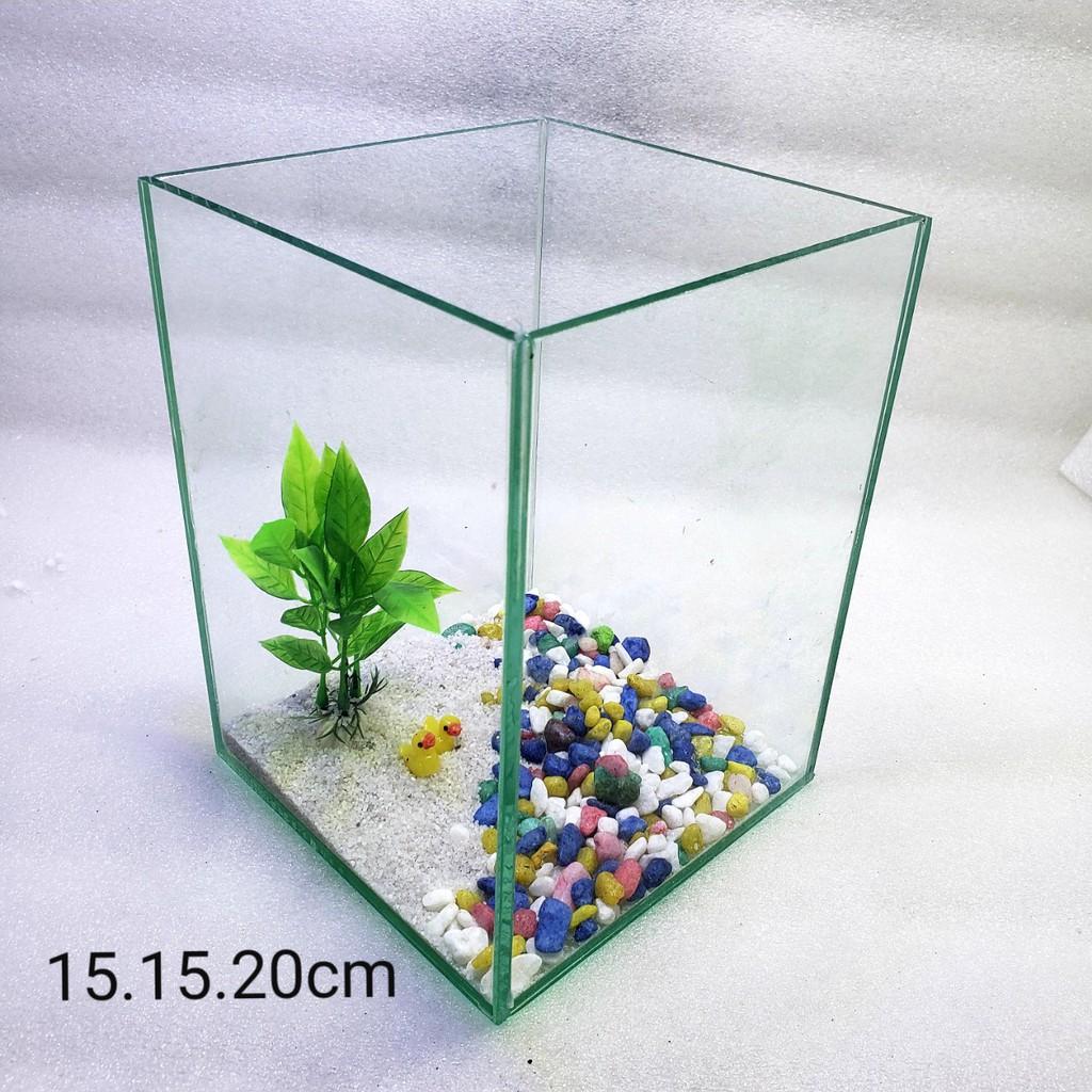 Bể cá mini - bể cá mini để bàn cao20cm - BCC20c