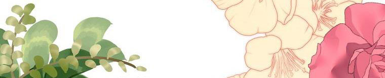 xin hãy kết hôn với em chapter 38 314