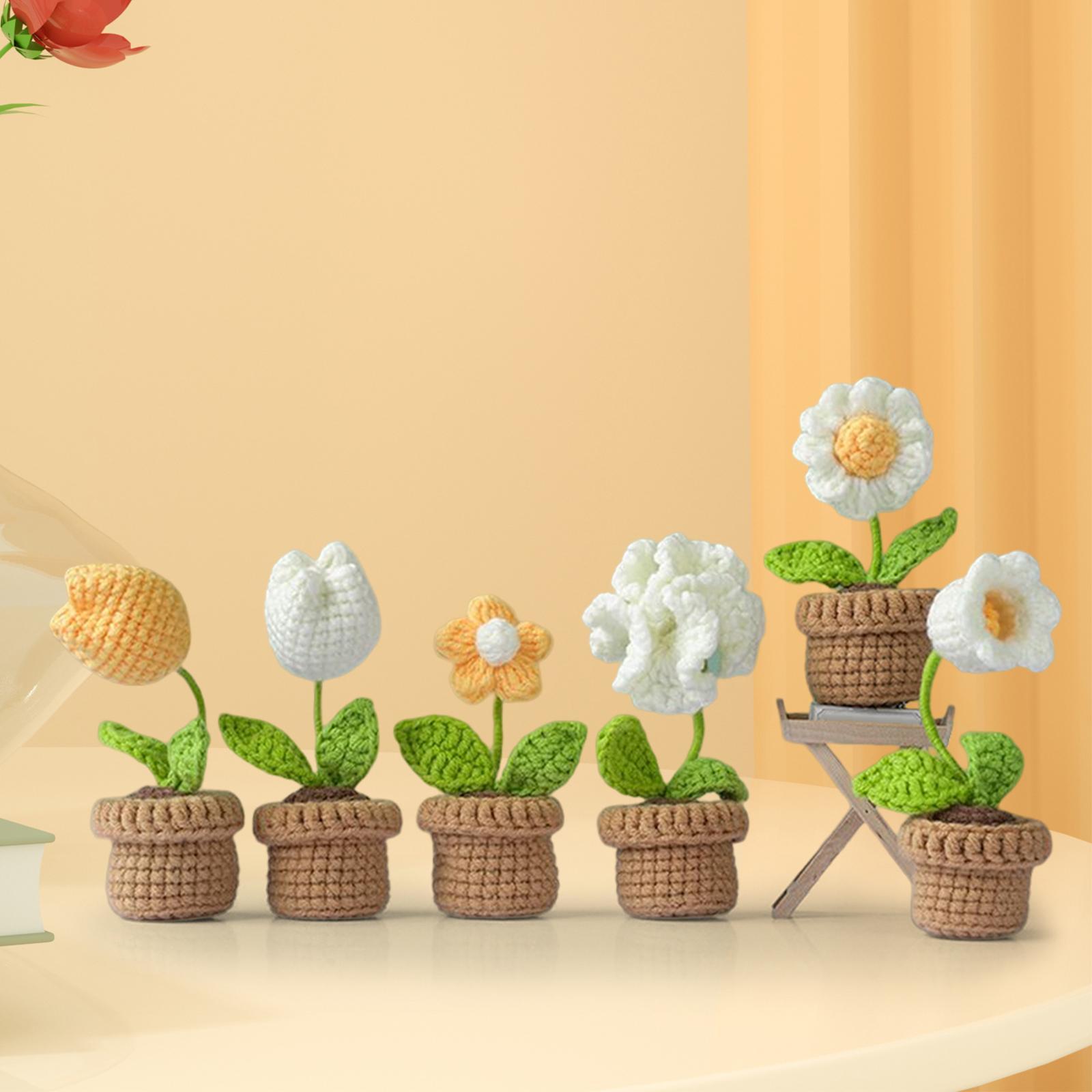 Crochet Kit Accessories Handmade Crocheted Planter for Kids Teens Beginners
