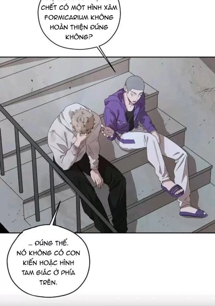 liveta chapter 34 56