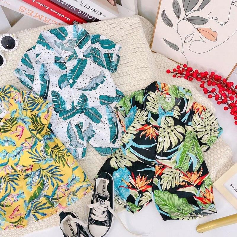 Bộ cộc tay hoa lá cho bé trai