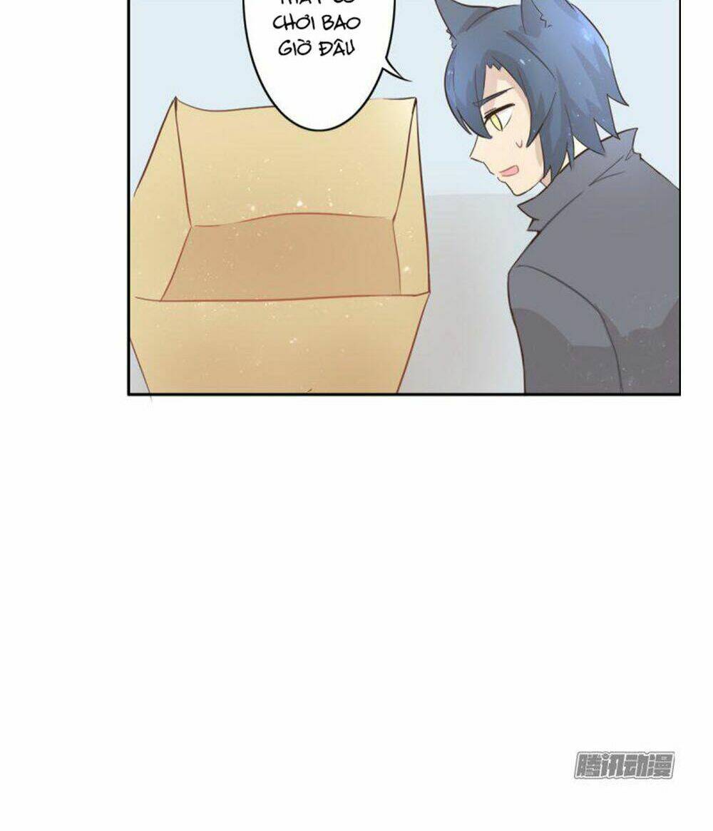 hai chú mèo totem chapter 1 38