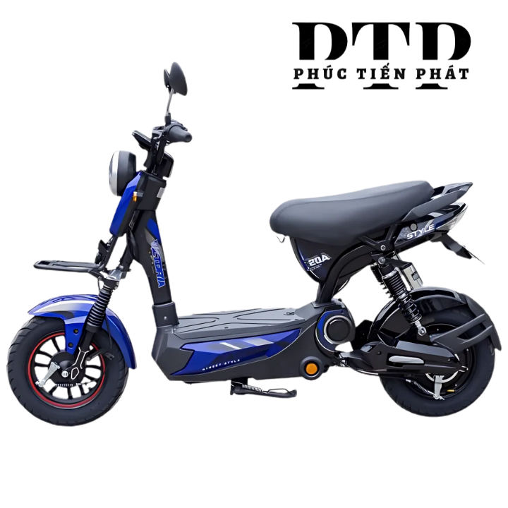 Xe Điện Victoria M133