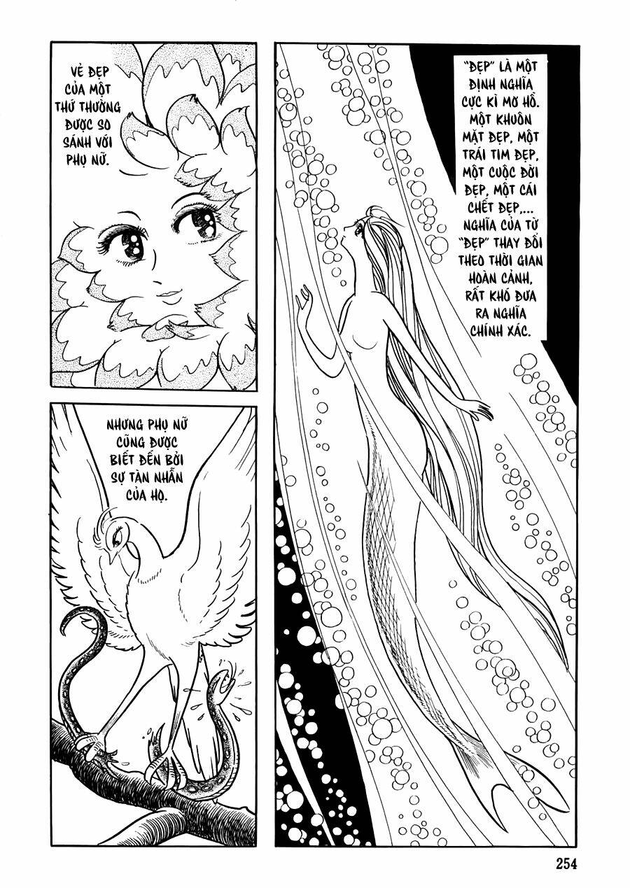 the crater chapter 8 2