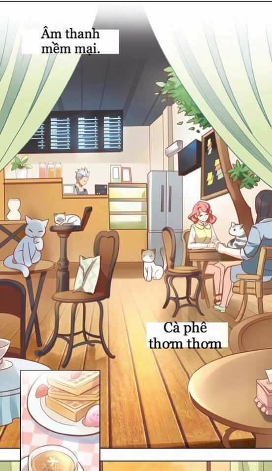 dưới móng vuốt mèo chapter 8 21