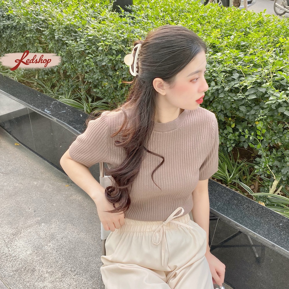 Áo len tăm basic đơn giản ngắn tay phong cách Hàn Quốc Red Shop 29949
