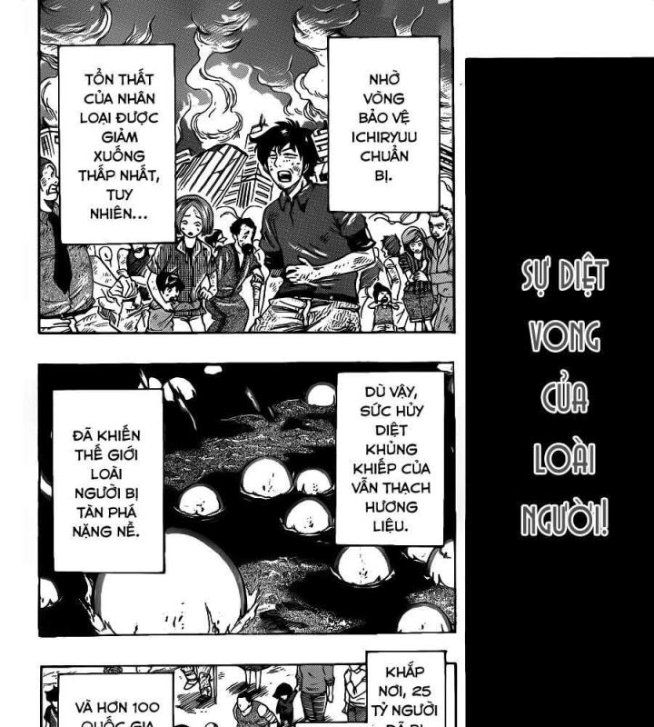 thánh tỏi sành ăn chapter 257 19