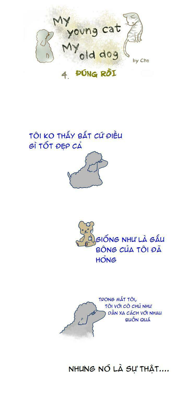 my young cat and my old dog chapter 3 4