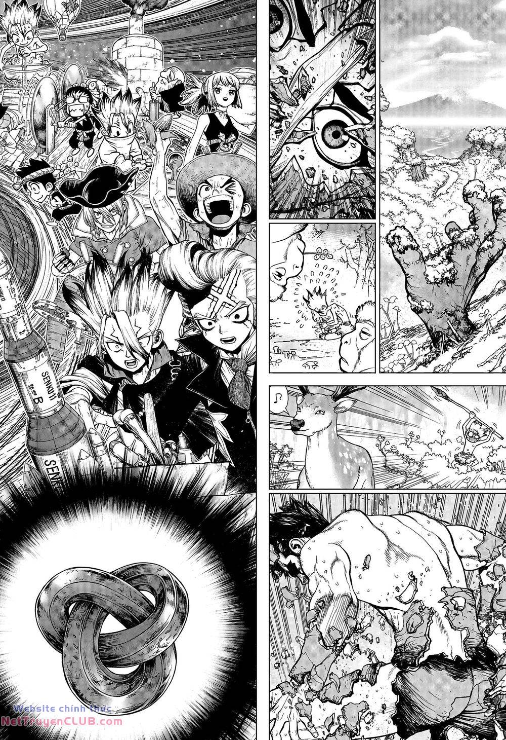 dr.stone - hồi sinh thế giới chapter 232.7 12