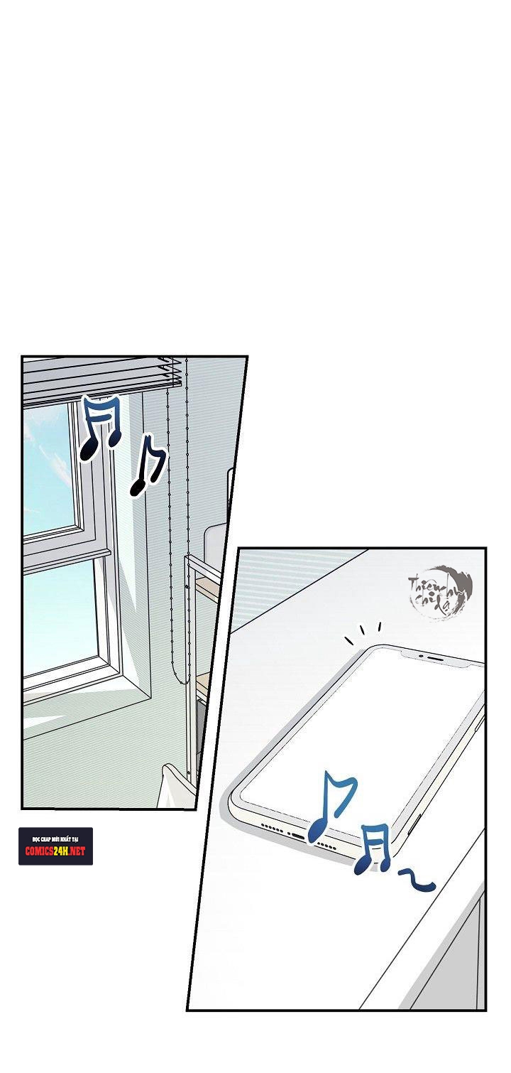 hoa ly hổ chapter 12 2