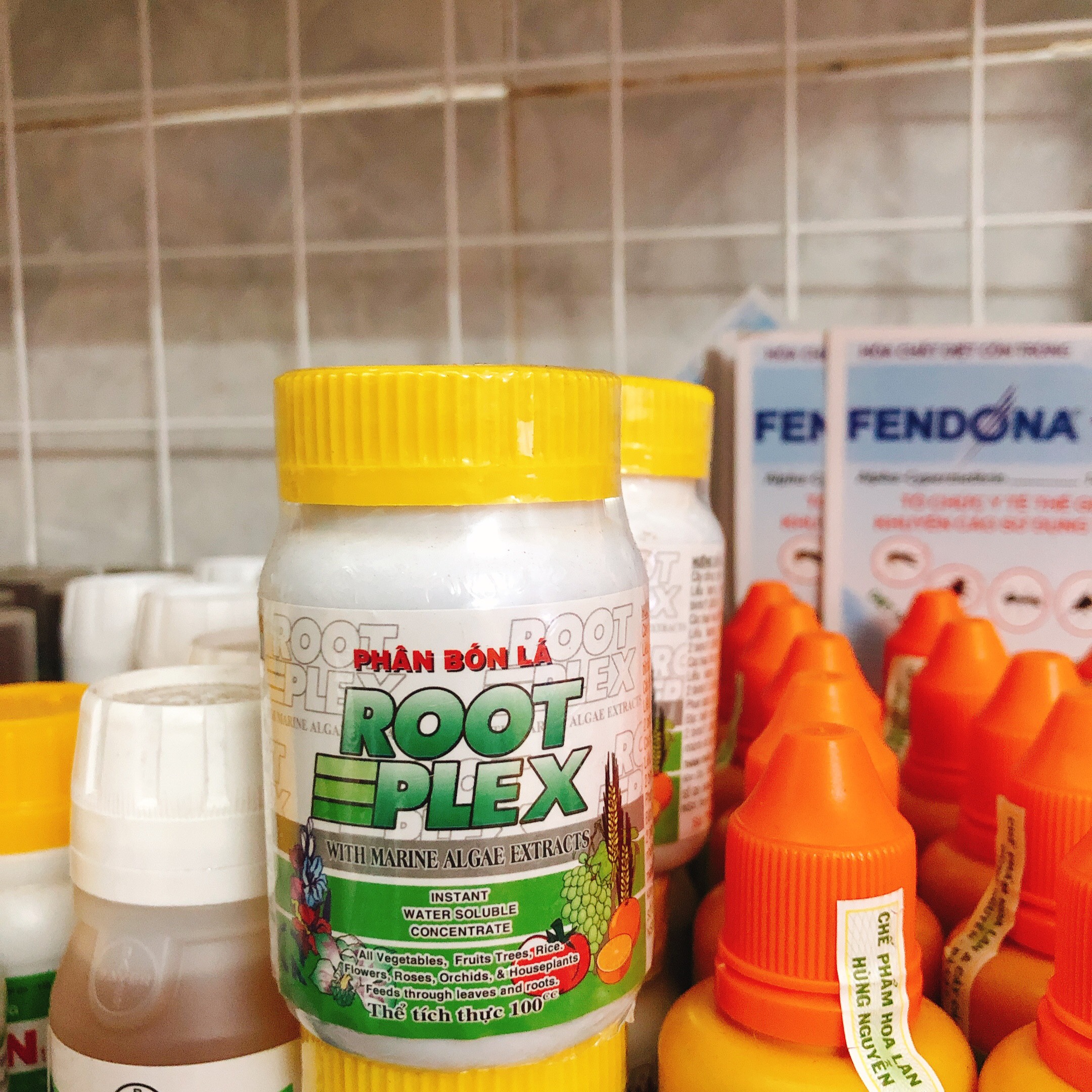 Phân Bón Lá Grow-More ROOT PLEX, Chiết Xuất Từ Tảo Biển, Mát Bông_Mát Trái