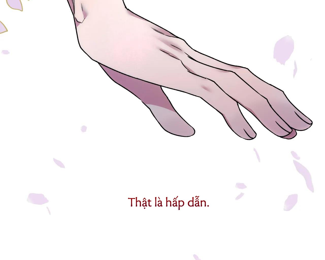 ám ảnh pheromone chapter 65 79