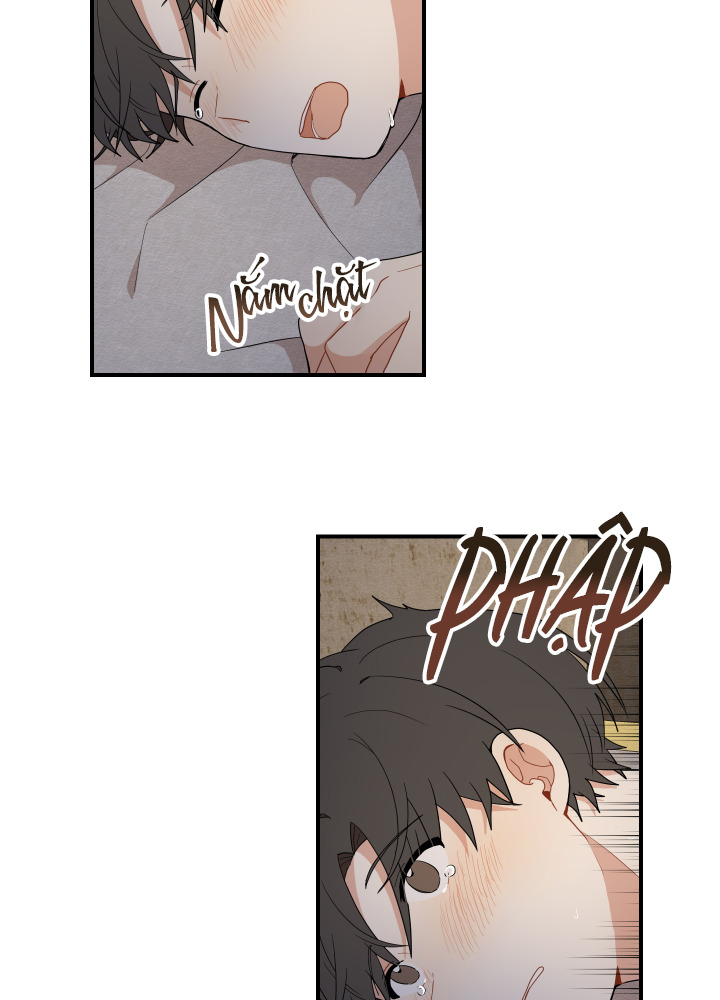 đường hoa liên kiều rơi chapter 16 54