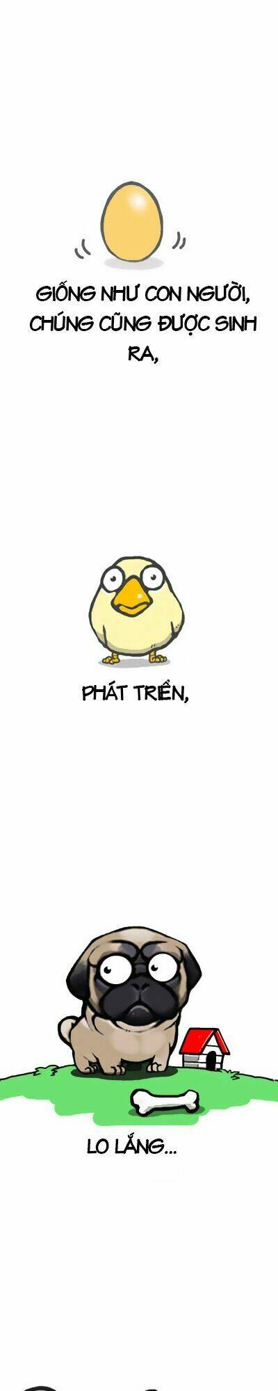 earth, human, and animal chapter 0 4