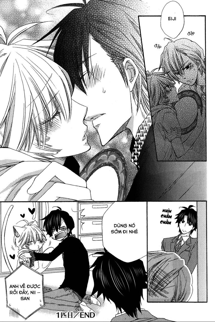 aigan kitty chapter 1 47