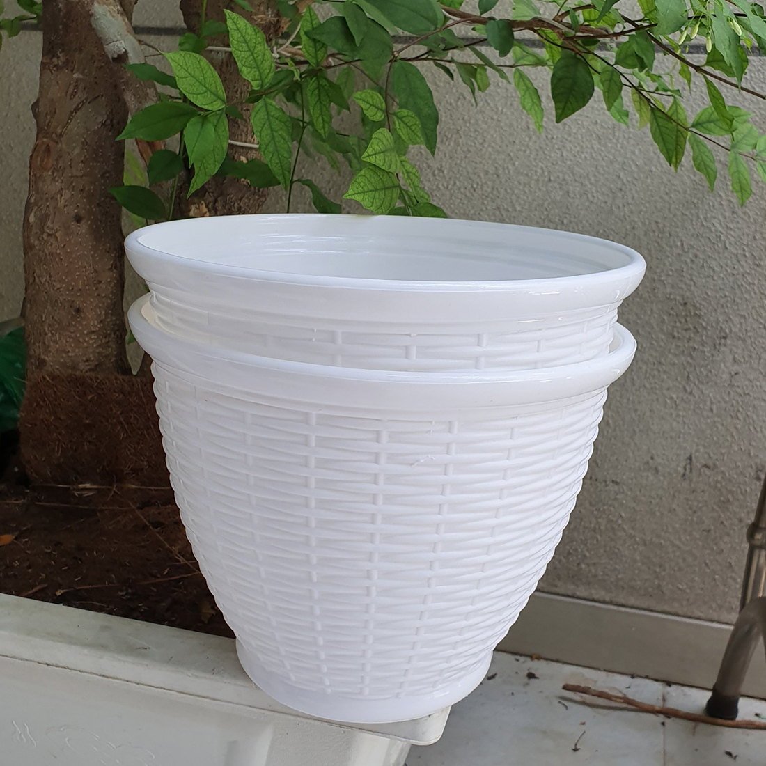 Bộ 4 chậu trồng hoa nhựa mây đan vành trắng 26x20cm