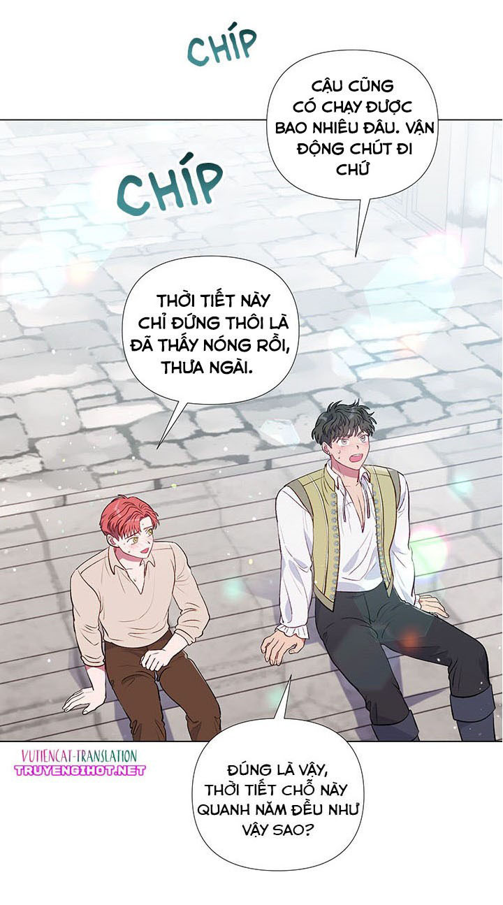 elizabeth chapter 22 37