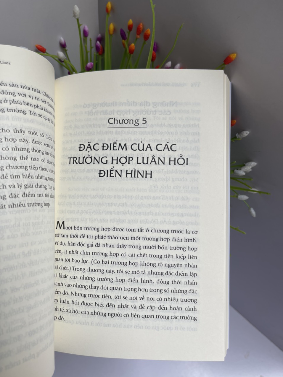 NHỮNG ĐỨA TRẺ NHỚ ĐƯỢC TIỀN KIẾP - Ian Stevenson – Lâm Đặng Cam Thảo dịch - First News – bìa mềm