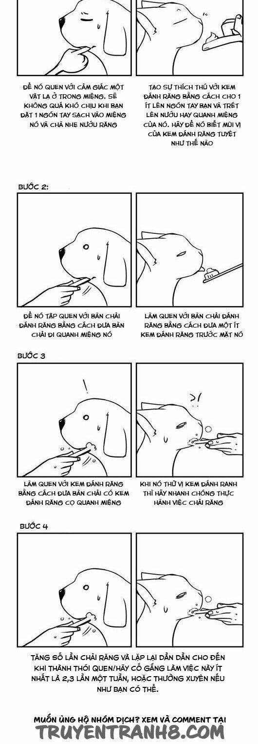 pet diary chapter 26 16