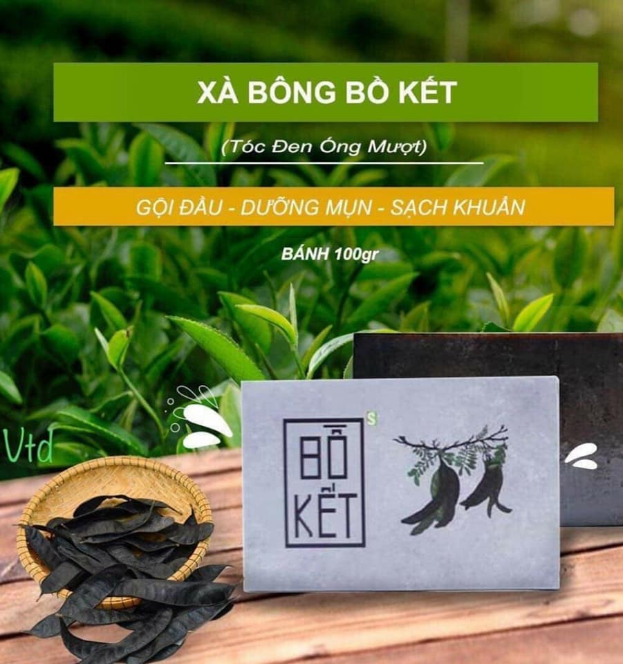 Xà bông Sinh Dược Bồ Kết, xà bông cục 100gr, mẫu bao bì vẽ mộc, mùi hương nhu quyện bồ kết nồng nàn, làm sạch da, có thể gội đầu xài kèm với dầu dưỡng chăm sóc tóc hiệu quả