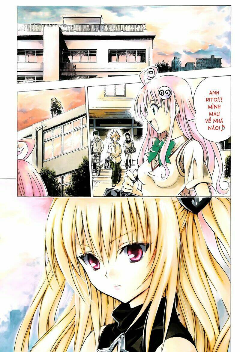 bọn tớ thích cậu! rito chapter 164 11