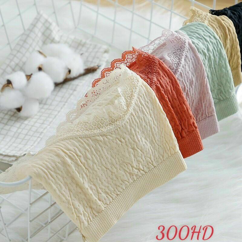 Hộp 5c quần lót nữ thông hơi , Quần chíp nữ dệt kim co giãn 4 chiều xuất nhật