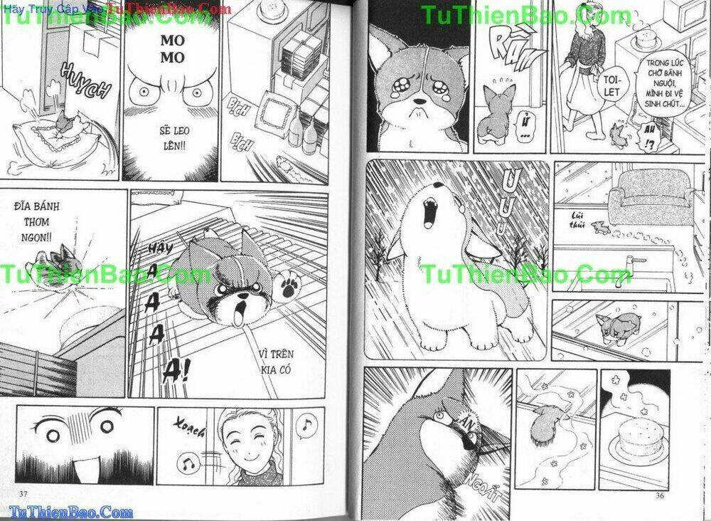 chó con mo mo chapter 4 19