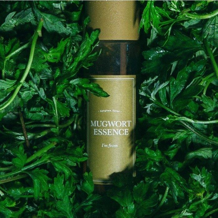 Combo Làm Dịu, Phục Hồi Da Từ Ngải Cứu I'm from (Mugwort Essence 160ml + Mugwort Mask 110g)