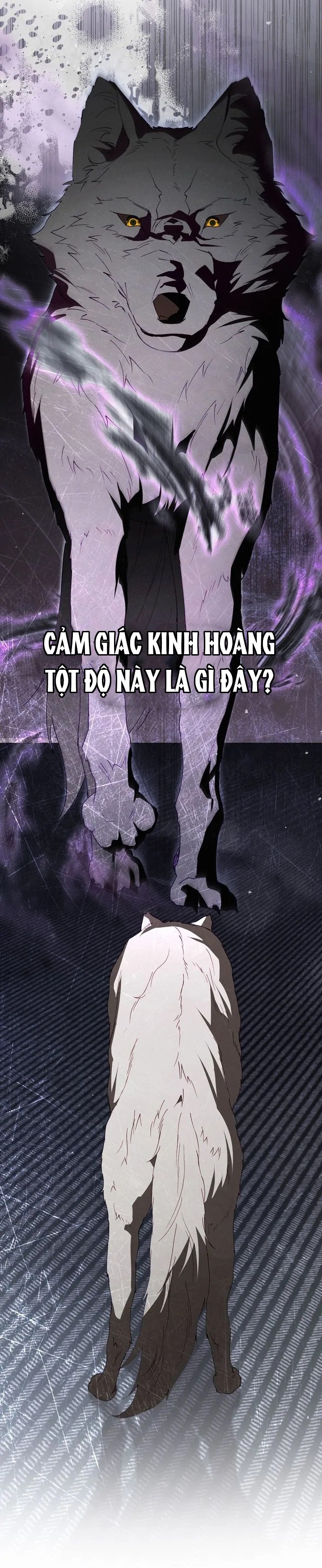 chàng người sói phát điên vì tôi chapter 56 19