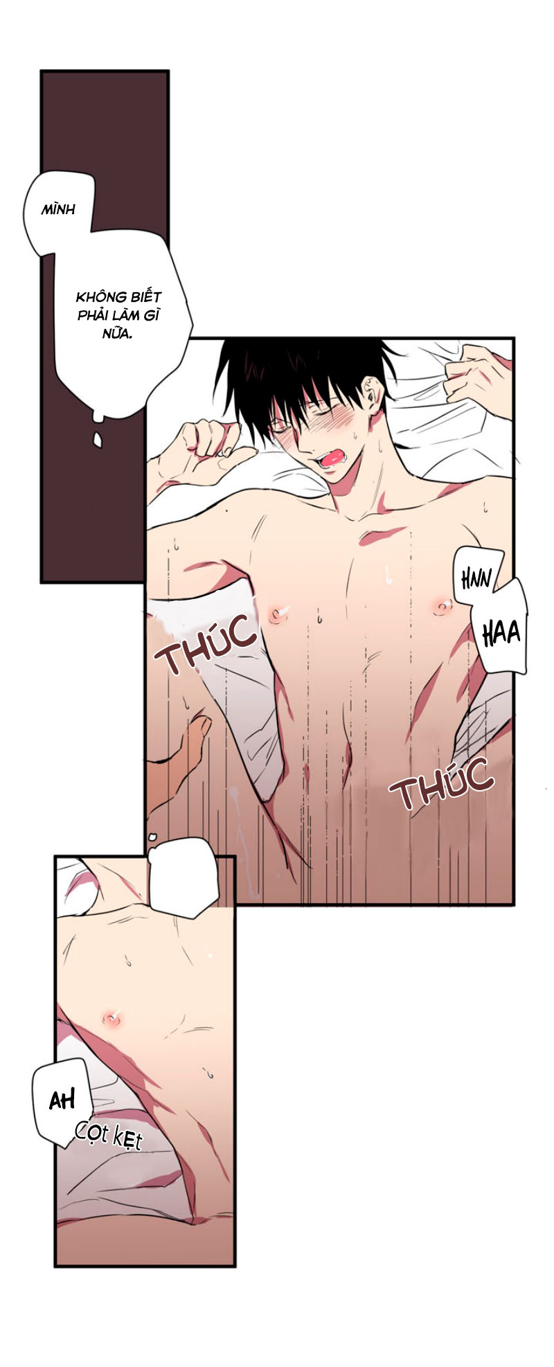 ở lại chapter 1.1 12