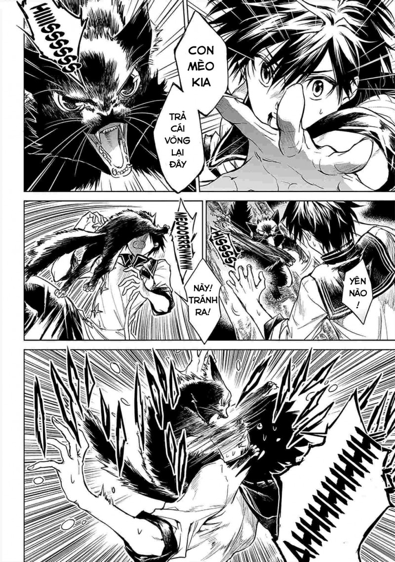 xiềng xích của rồng – trái tim trong tâm trí chapter 4 8