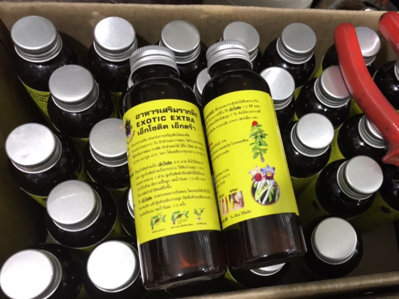 Exotic thái 100ml -ra rễ mạnh  - 100 ml