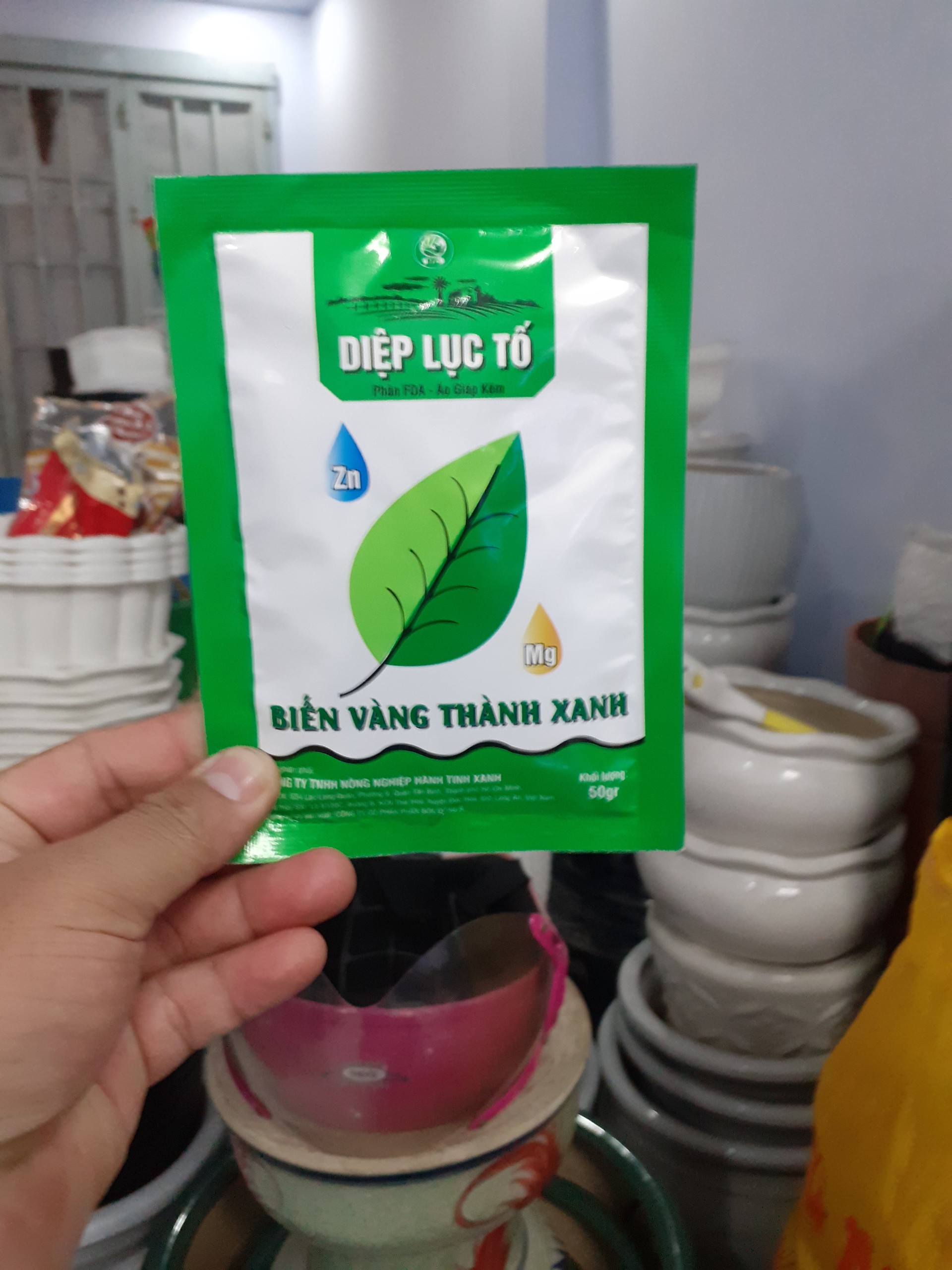 Tăng diệp lục tố biến vàng thành xanh