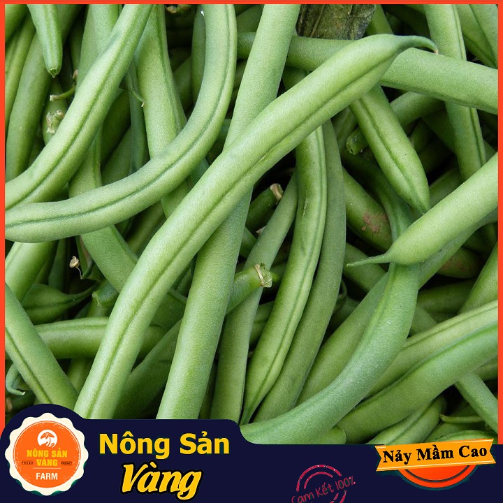 Hạt giống Đậu Cove Hạt Đen Dễ Trồng - Nông Sản Vàng