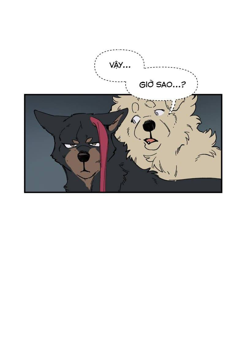 lumine - cội nguồn ánh sáng chapter 143 29