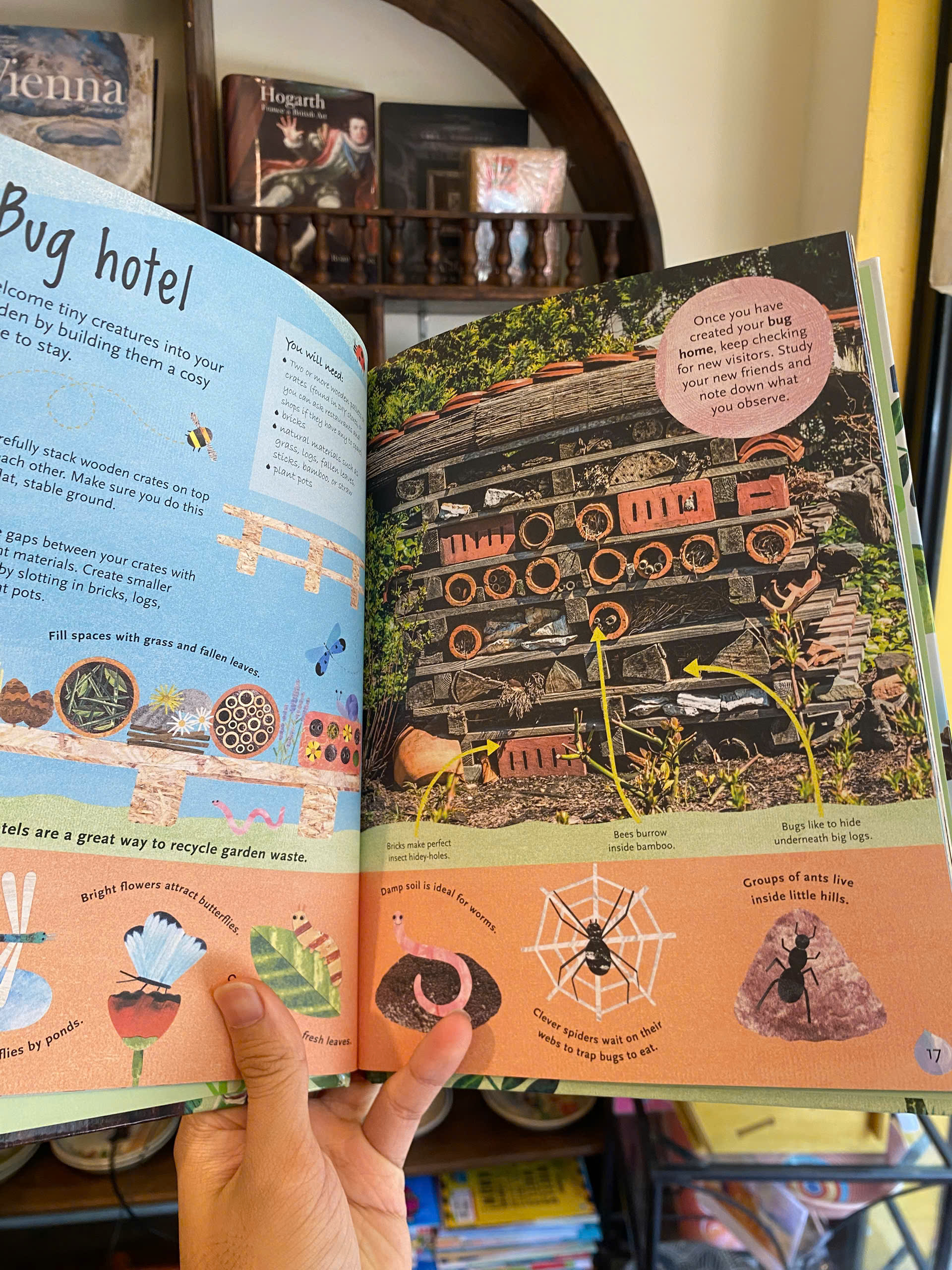 Sách - The Nature Adventure Book: 40 activities to do outdoors - DK Children Book in English