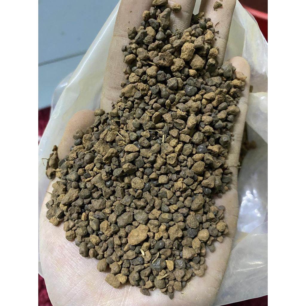 1kg Sạn Suối Trang Trí Bể Cá Tăng Bố Cục Tự Nhiên