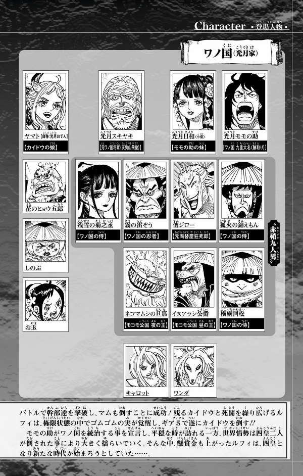 One Piece 105 (Japanese Edition)