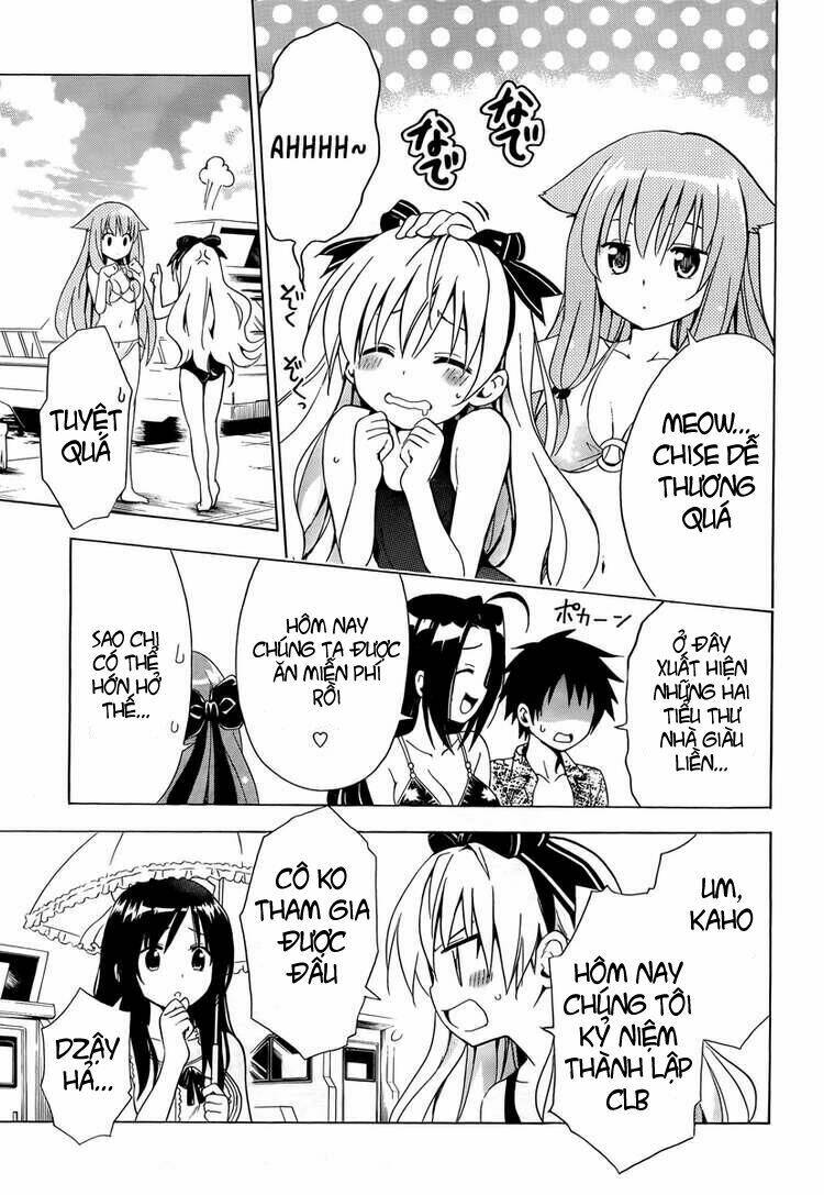 mayoi neko overrun! chapter 4 22