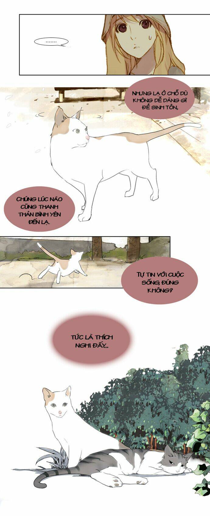 mười chín, hai mươi mốt chapter 2 22