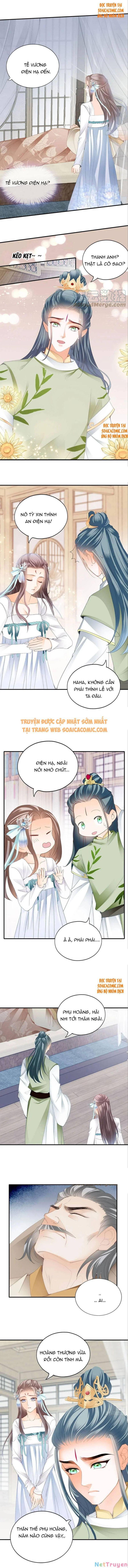 bổn vương muốn nàng chapter 99 3