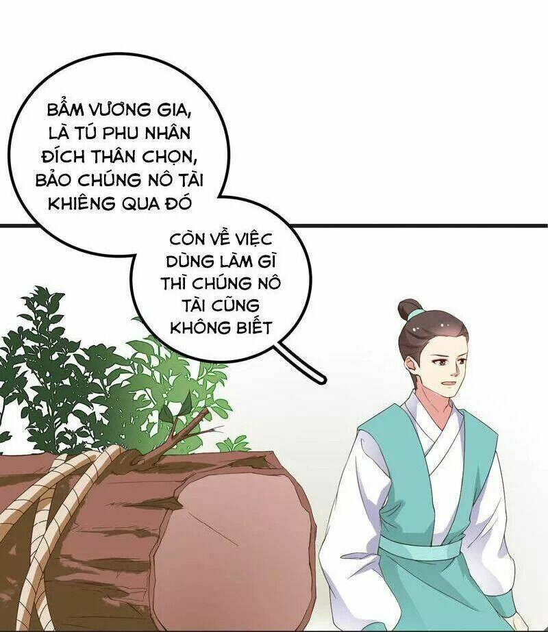 pháo hôi nữ xứng - hoàn khố lệ vương phi chapter 10 10