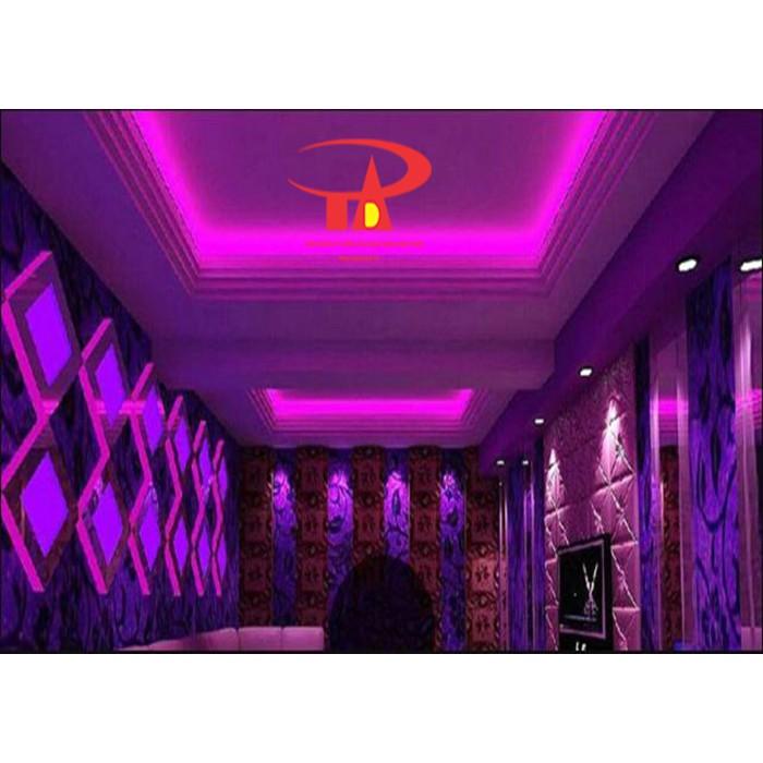 Đèn led dây 2835 cuộn 100m 220v