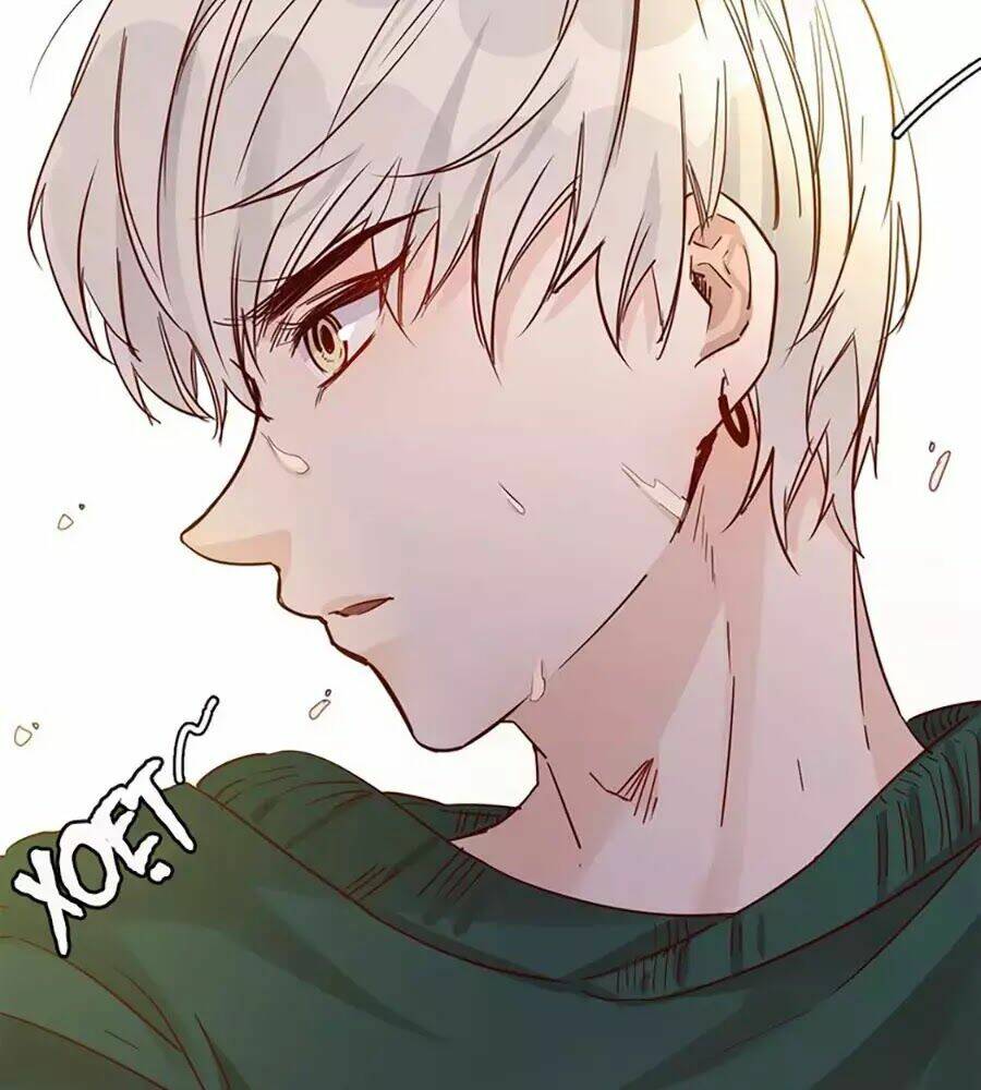 ngôi sao vụn vỡ chapter 26 11