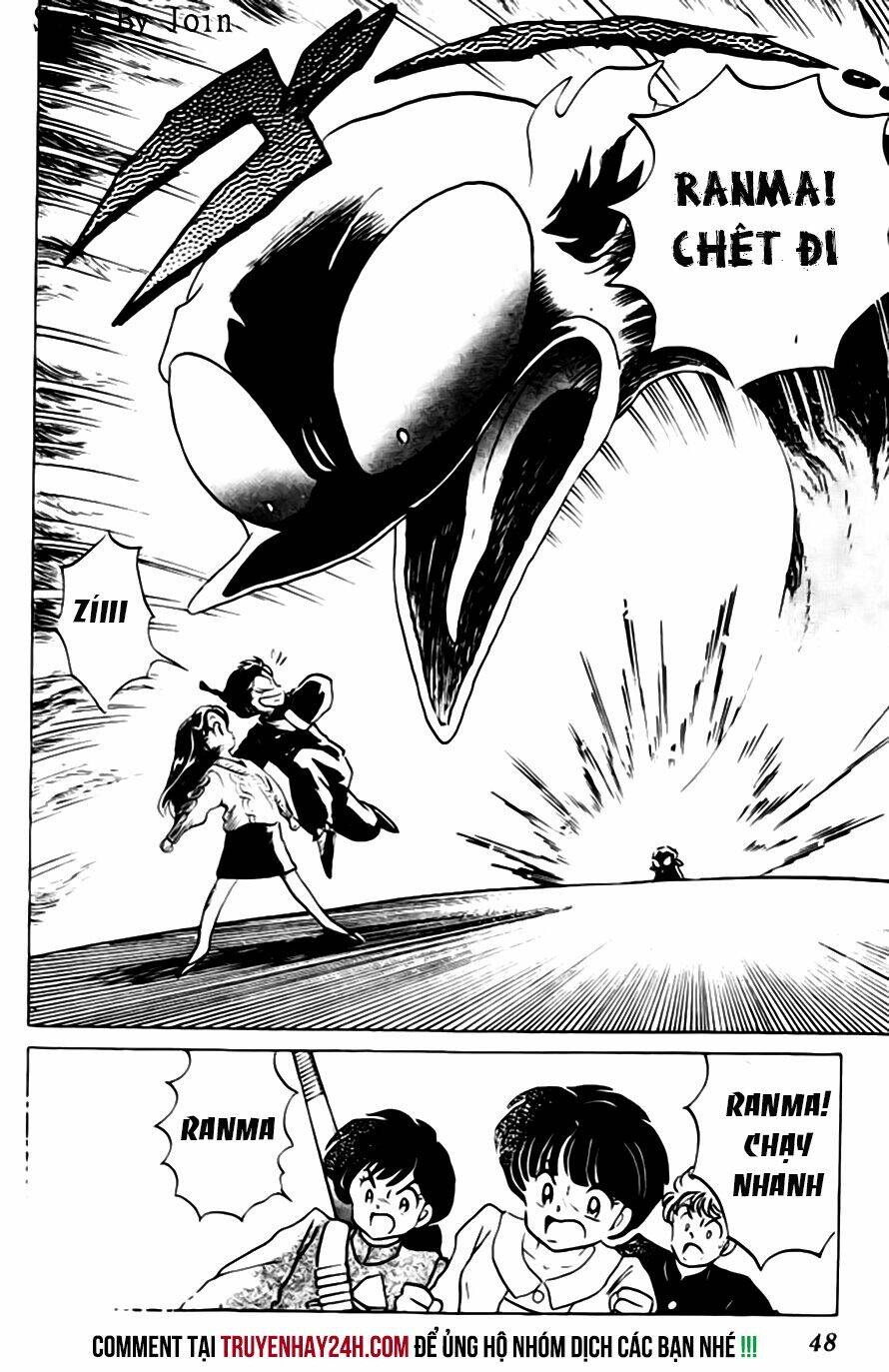 suối lời nguyền chapter 259 13