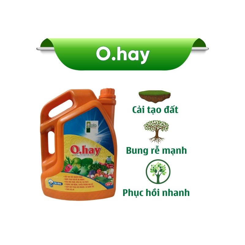 Phân bón sinh học giúp cải tạo phục hồi đất - Phân bón hữu cơ O.hay 5 lit