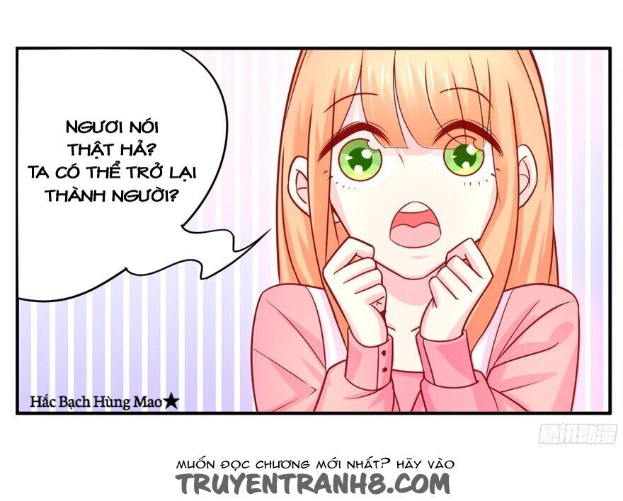 chủ nhân là ảnh đế chapter 1.6 26