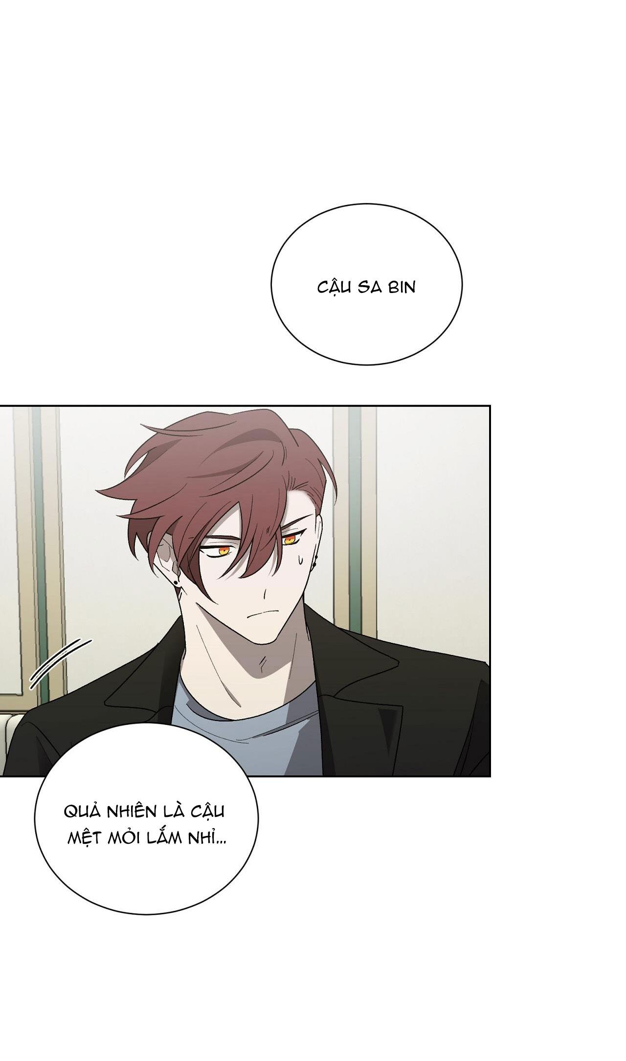 khi chim thước đến chapter 11 13