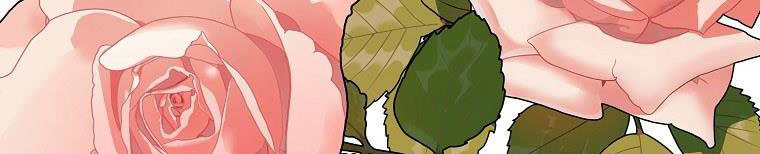 xin hãy kết hôn với em chapter 38 45