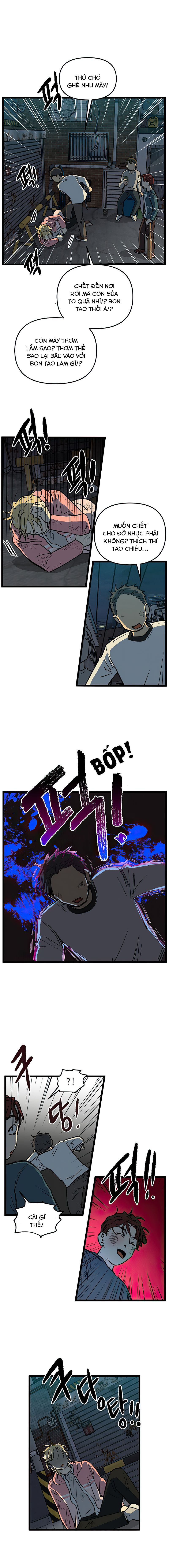 no home - không nhà chapter 154 10